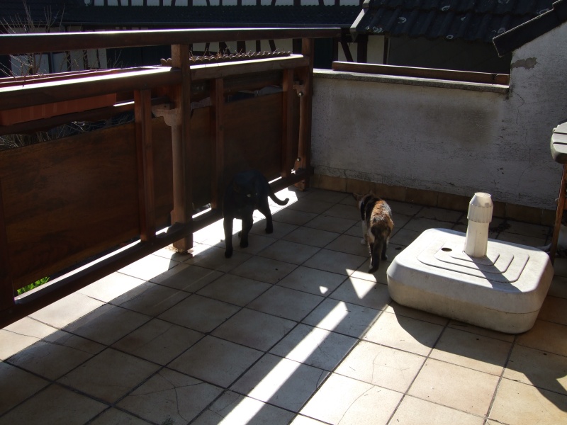 Ostern 2007 Orleshausen 050 